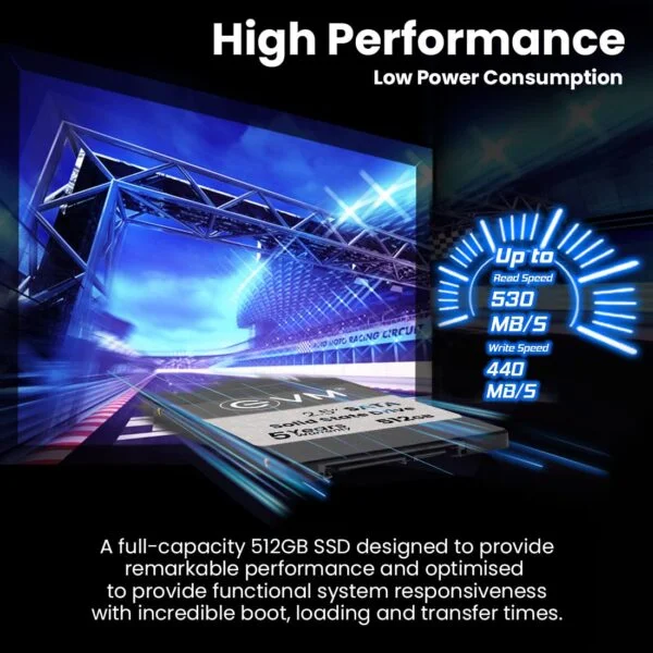 EVM 512GB SSD