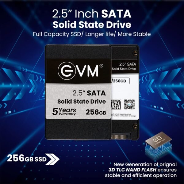 EVM 256GB SSD