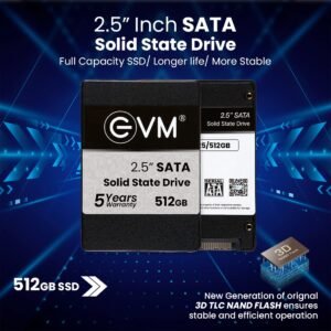 EVM 512GB SSD