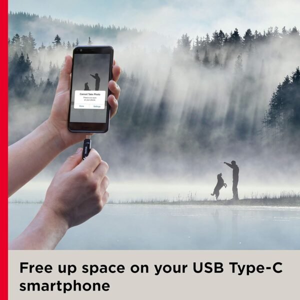 SanDisk Ultra dual Drive Go USB Type C Pendrive