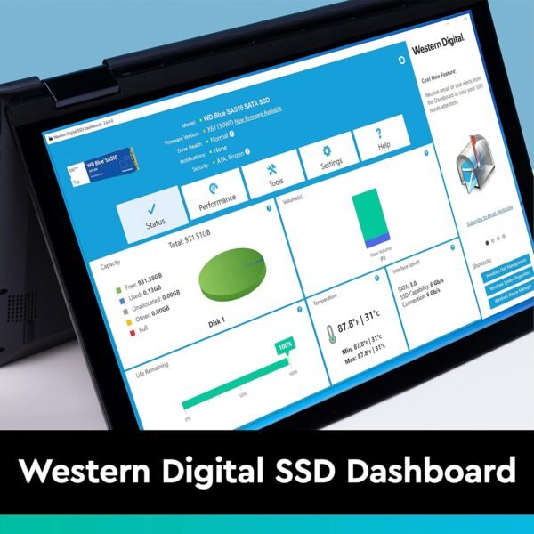 Western Digital WD Blue SA510B, SATA 250GB ,internal solid state Drive