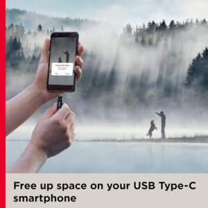 SanDisk Ultra dual Drive Go USB3.0 Type C Pendrive